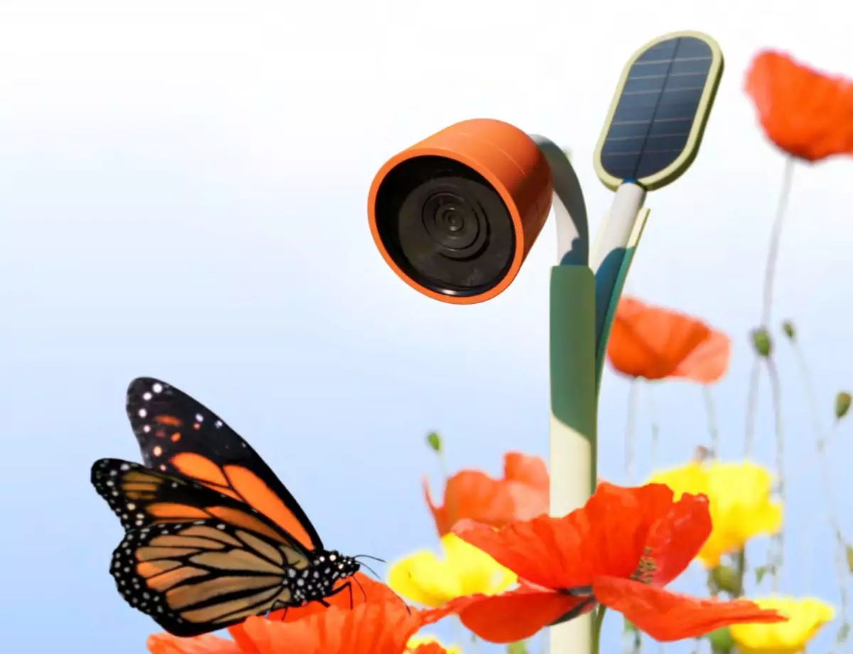 The Intersection of Technology and Nature: Introducing Wonder’s Innovative Approach to Pollinators