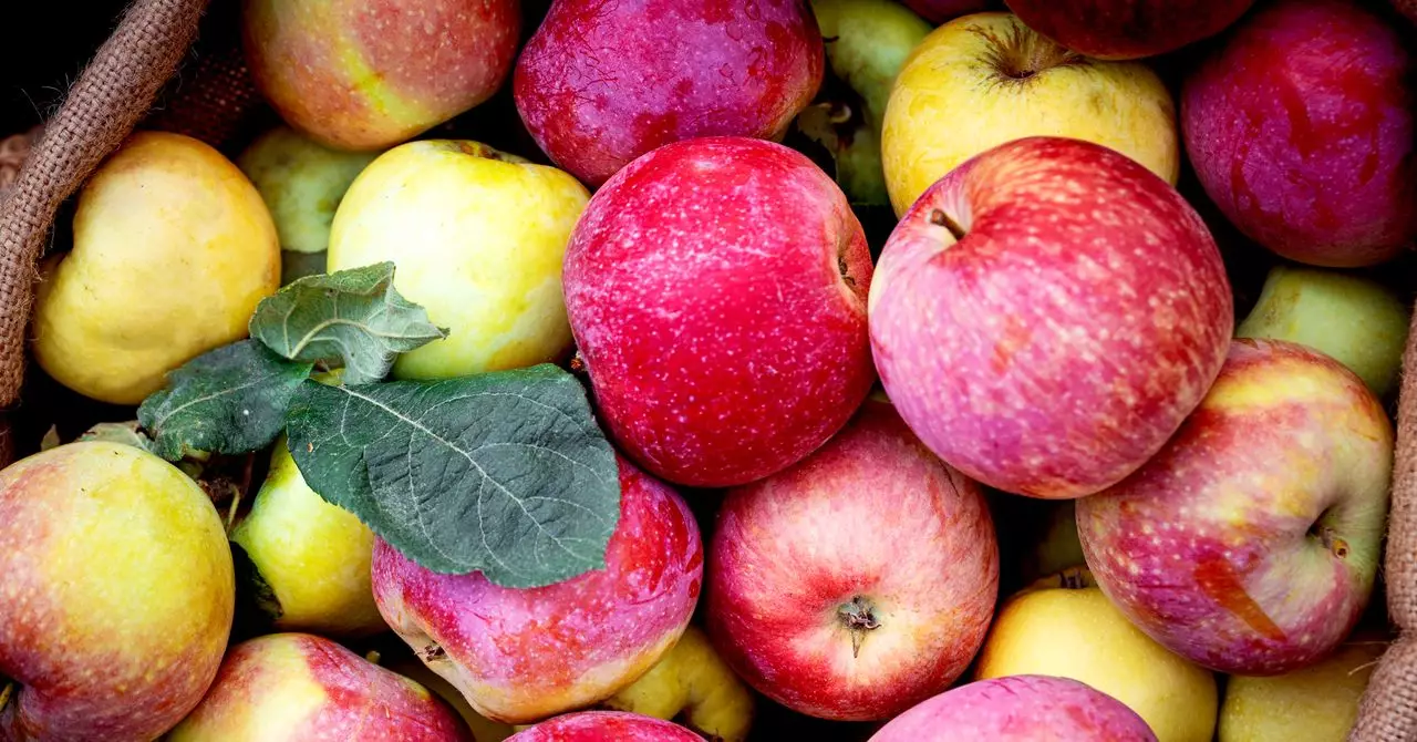 The Apple Juice Dilemma: Unpacking the Impact of Tariffs on America’s Beloved Beverage