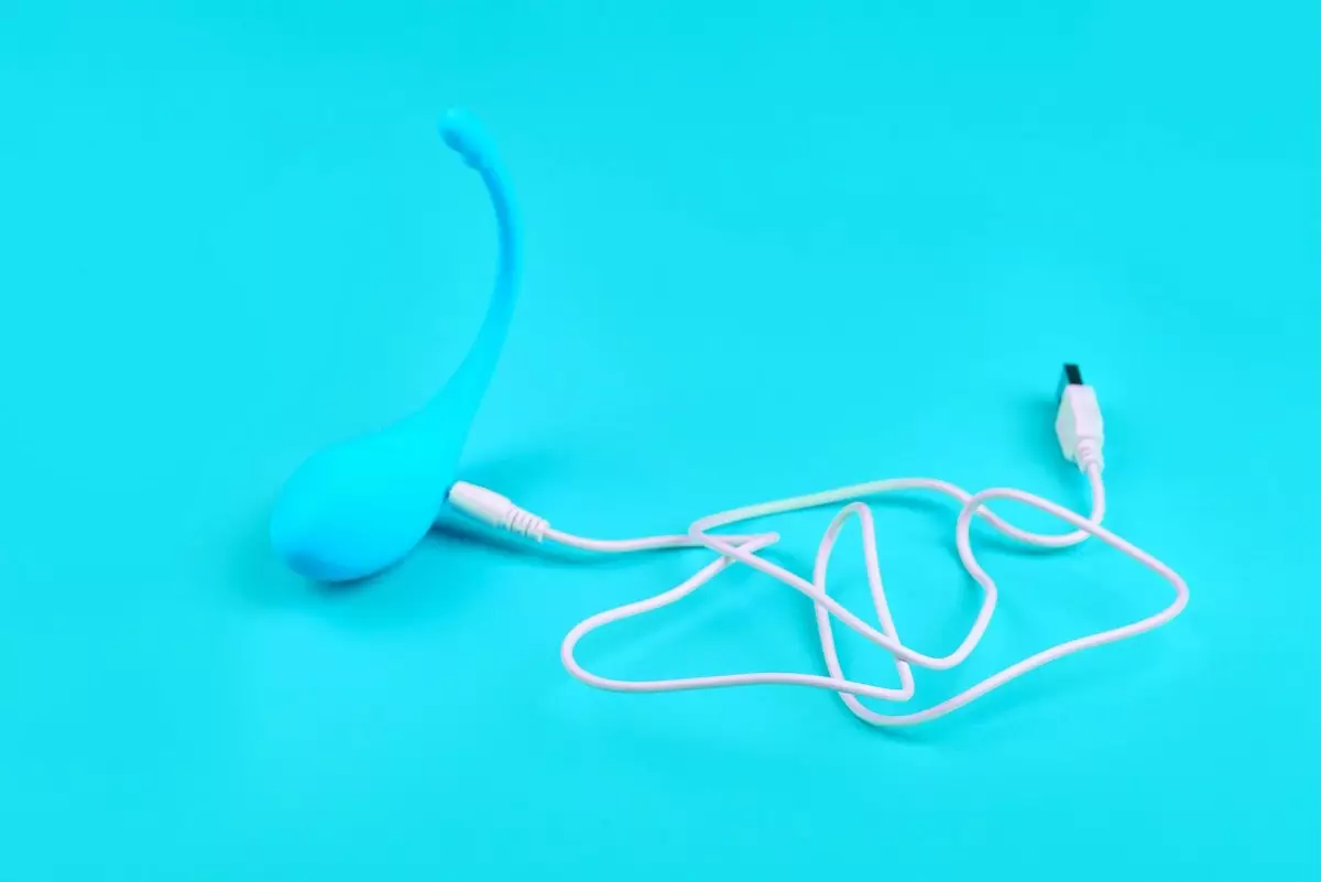 Uncovering the Hidden Risks: The Critical Need for Transparency and Accountability in Digital Intimacy Devices